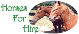 Horses For Hire