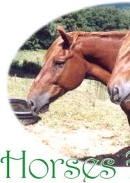 Horses For Hire