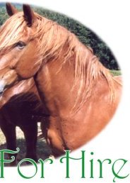 Jerry & Jessy - Our team of Suffolk Punches